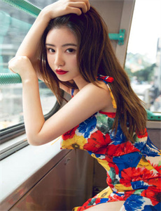 与志愿同行
