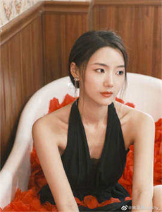 绿皮书